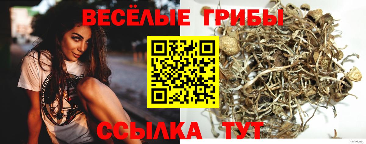 Псилоцибиновые грибы мухоморы  Вход с VPN  дарнет шоп  Сухой Лог 